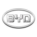 Коврик в багажник для BYD